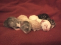 2012-05-14 sml