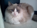 2012-07-11 sml